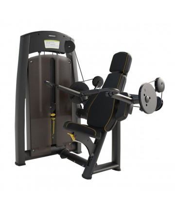 FERRO BICEPS CURL